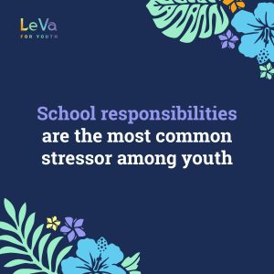 School responsibilities are the most common stressor among youth