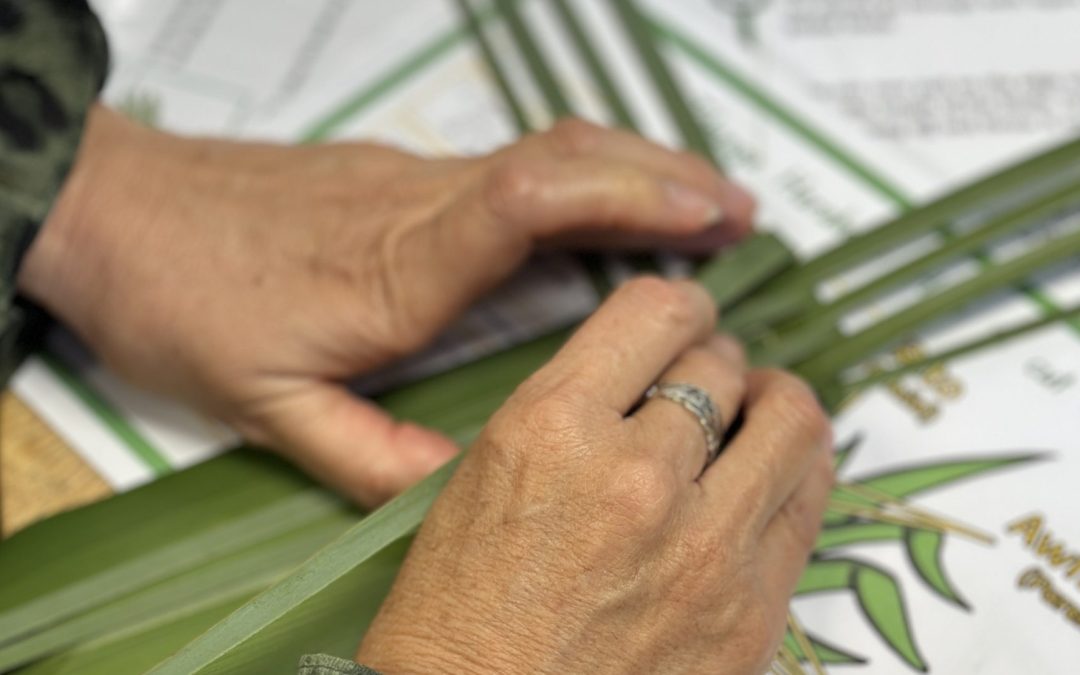 ‘Ake ake ake – a forever language’: Te Wiki o te Reo Māori