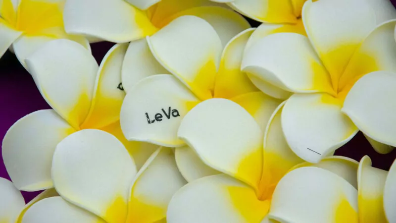 A pile of yellow and whited frangipani hair clips with Le Va branding